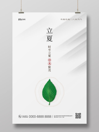 白色简约大气绿叶中国传统二十四节气立夏海报